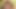 Dark haired German lady with a super curvy body eating all the cum from a fat cock