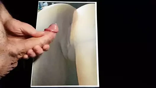 Kedi haraç 7