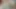 Ev yapımı Hintli çift videosu. sert kedi yalama ve ters pozisyonda lanet
