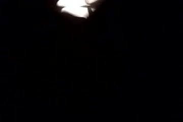 Mature begs for my cock