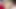 College Fucking for the First Time, Real Teen Sex.