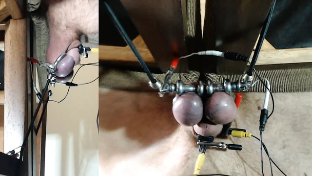 Estim play along with simulated facial