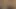 3181
