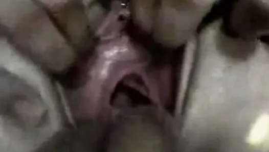 Exquisite View Throat Pussy Ass Big Tits Hairy Pierced Clit