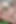 Her Pussy Trembles From My Hand and Cock (fisting)