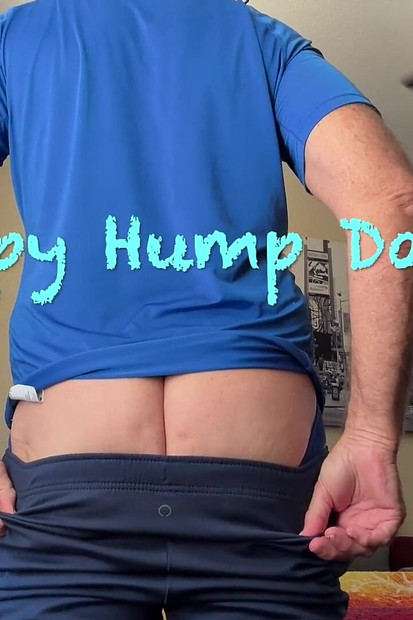 혹 데이 셰니건스