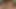 My husband calls two friends to fuck me. He loves to see his wife get fucked
