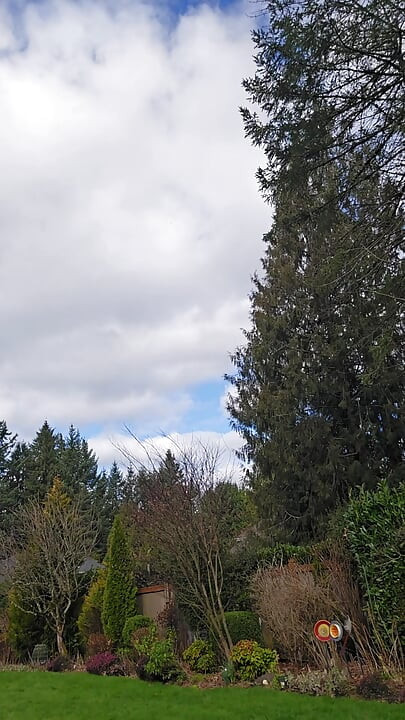 Outside for a Quick Walk Around