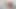 Incredible Threesome with Bella Rose and First Timer Selena Luxx
