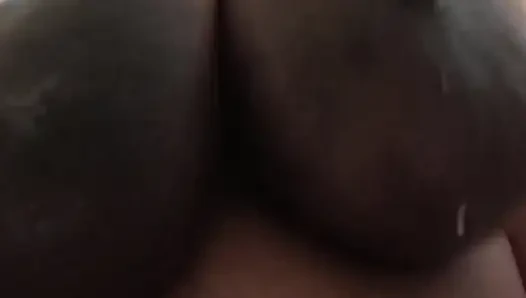 Engorged