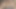 Big Black Cock Pussy Massage Spreading My Pink Pussy Deepthroat Squirt