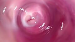 Câmera dentro da minha buceta cremosa apertada, vista interna da minha vagina com tesão