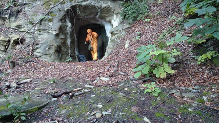 Promenade dans les bois