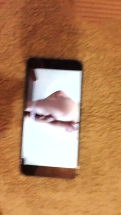 絶頂トリビュート1