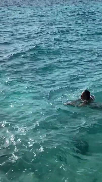 Monika Fox Stopped A Tour Bus To Swim Naked In Sea | Clip 1