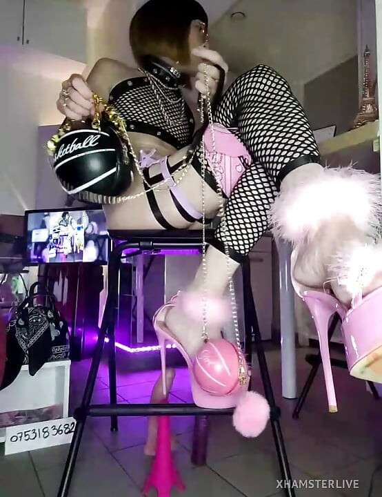 x🐹LiVE [¹¹nov²³] BimBo TraVestie