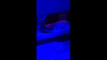 Pregled videozapisa