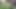 Masturbation At The NEIGHBORS Front Patio