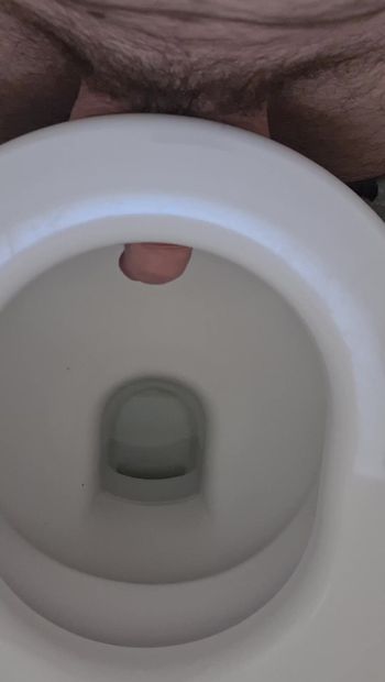 Punition par une bite dans les toilettes