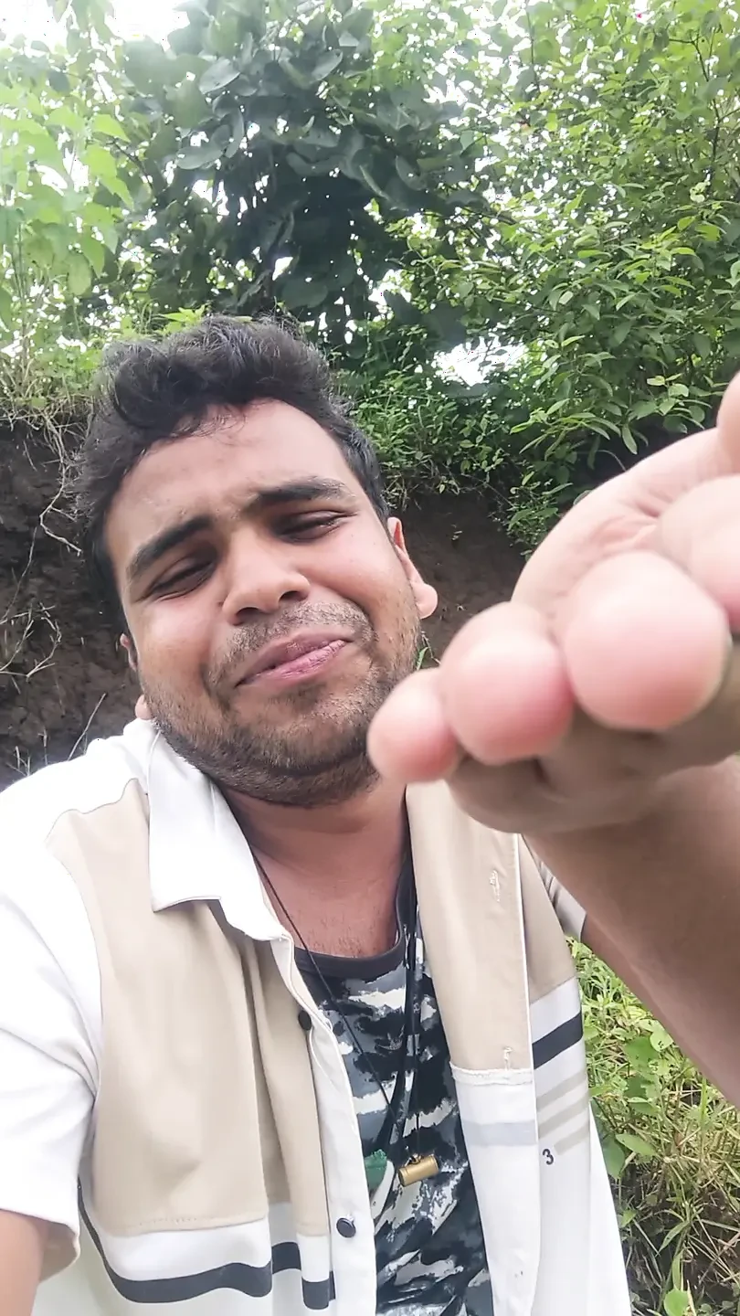 Viendo Instagram amor romántico a primera vista Reel en el bosque solo (en hindi)