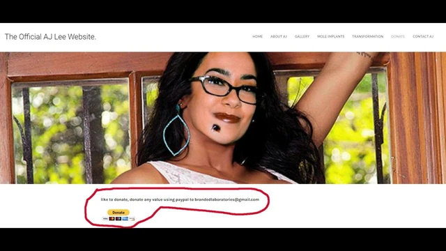 How to donate to me, AJ Lee