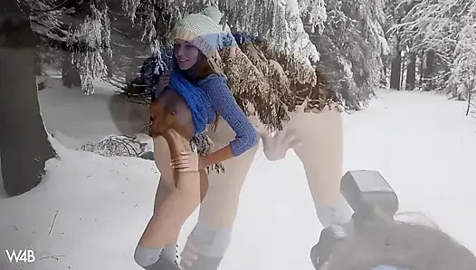 Зимняя история