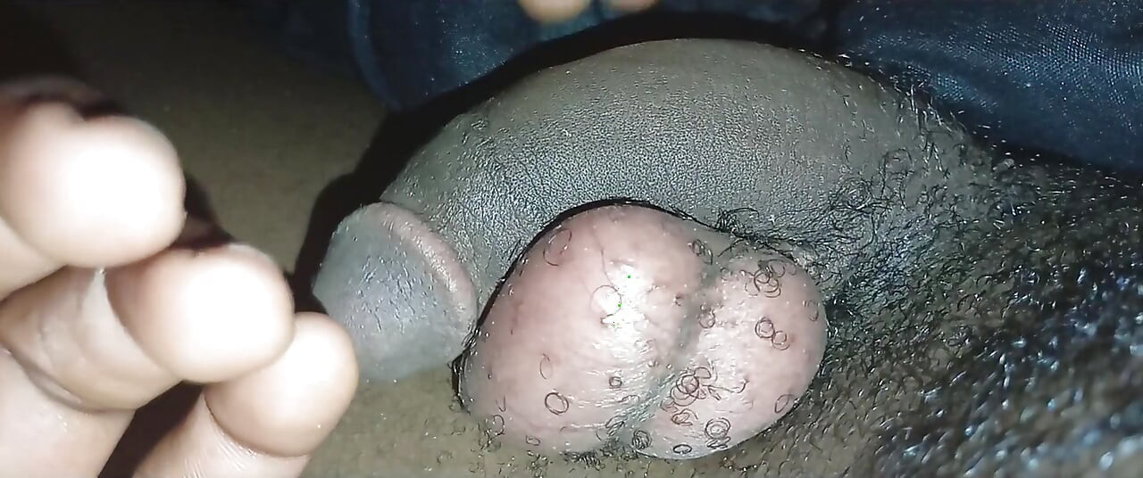 Schwanz zu groß