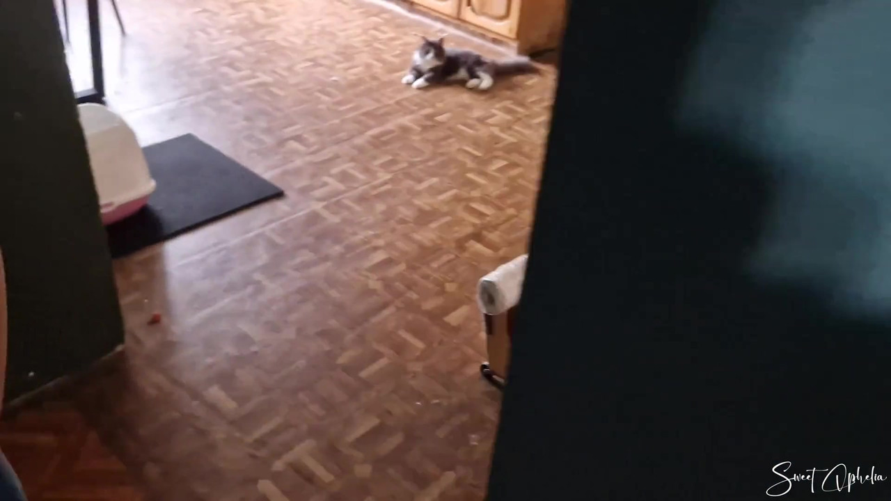 她用她的身体购买装修公寓 第一人称视角