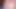 Close-up Slow Cum Flow - Scottish Cut Cock