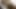 Yeşil parıltılı mni elbiseli jasmin sissy web kamerasında tombul varlıkları teşhir ediyor