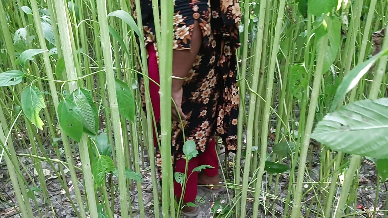 Eu a fodi enquanto ela estava no campo da juta e me diverti muito, então eu ejaculo na vagina dela.