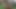 Video ön izlemesi