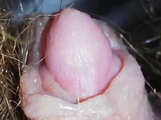 Enorme clitoride pulsante