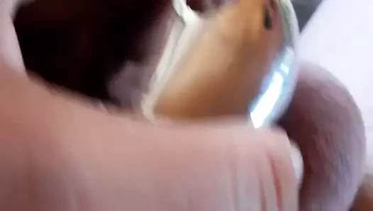Ultraschall Strong chastity