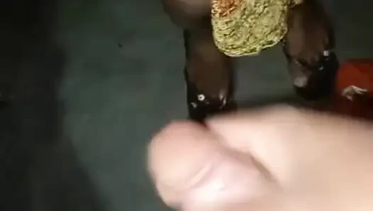 Adik tiri