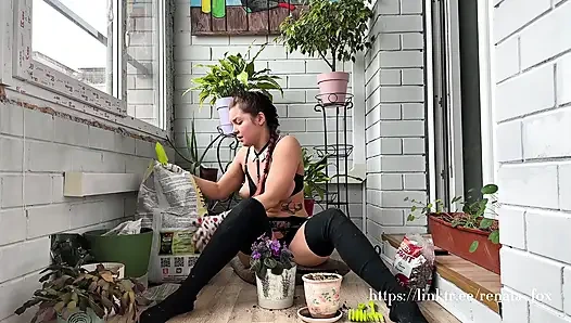 My Neighbours Have a Premium Subscription to My Balcony