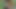 Üç seksi öğrenci kızlar sikme siyah adam