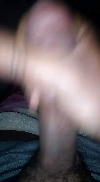 Pintu