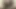 sarışın civciv facesitting ile cezalandırıyor
