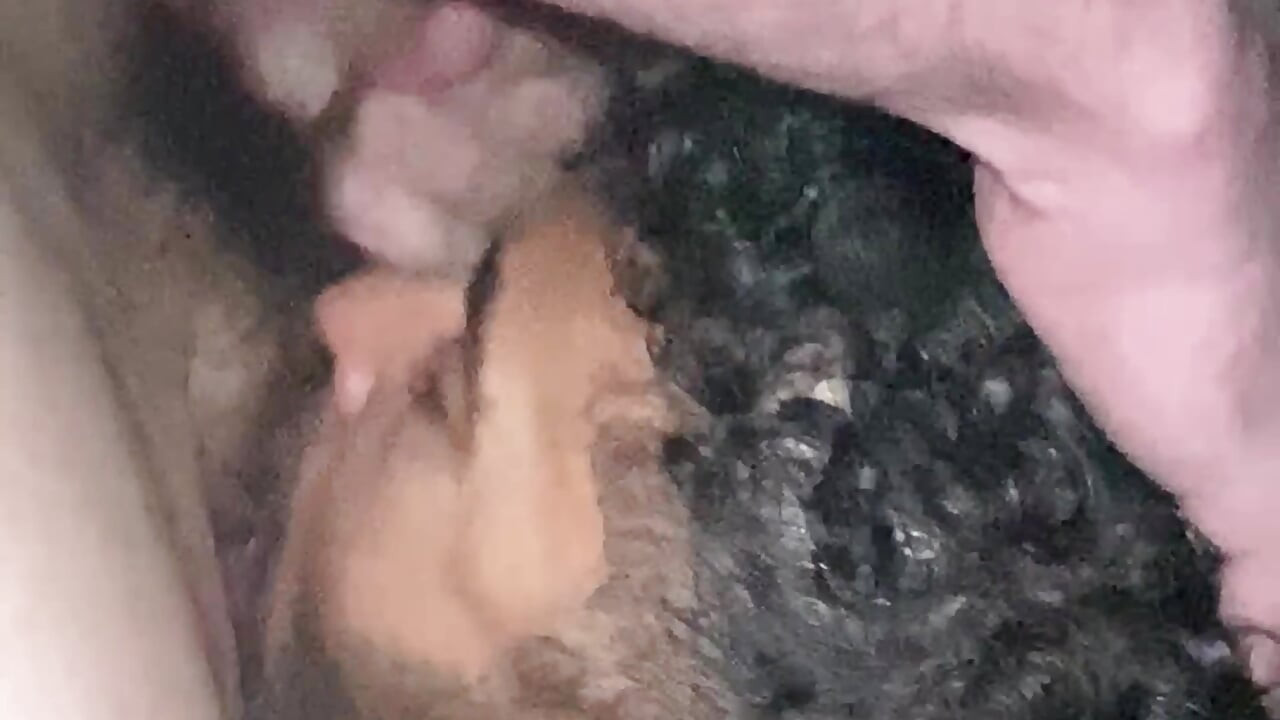 Facefuck - Deepthroat Training Session