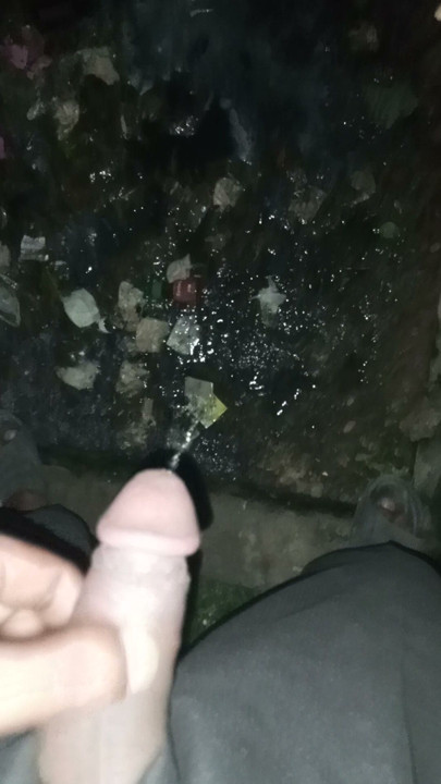 So big land