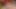 Perfect Mistress Affection Loving Office Beauty Clinging Premium Blowjob Experience