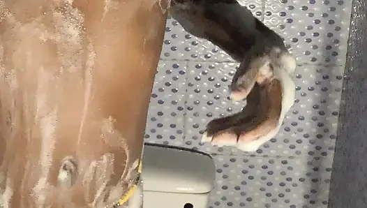 Cewek ebony panas sendirian di kamar mandi