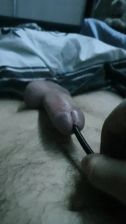 Peepee sounding.