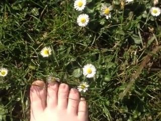 Caminando sobre la hierba y las margaritas mostrando mis pies