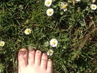 Walking on the grass and daisies showing my feet