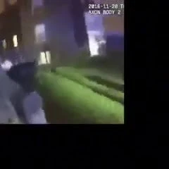 有趣的成人视频