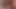 チンコだらけの顔