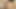Seksi Asyalı erkek delisi emiyor ve tüylü bal deposuna dölleniyor - muhteşem xxx jav sansürsüz!