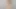 Beyonce'nin büyük bir kıçı var